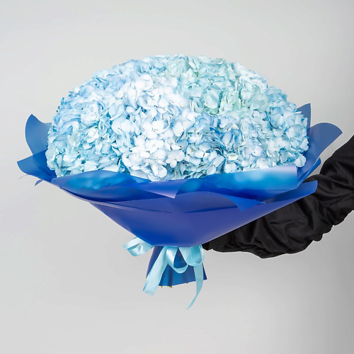 STUDIO FLORISTIC Букет Гортензий 15 шт «Нежные грёзы» #1