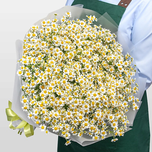 STUDIO FLORISTIC Букет из 31 Ромашки «Нежные ромашки» #1