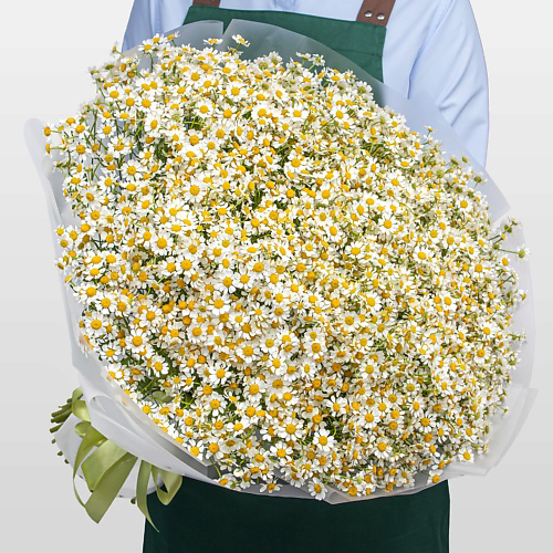 STUDIO FLORISTIC Букет из 75 Ромашек «Теплый день» #1