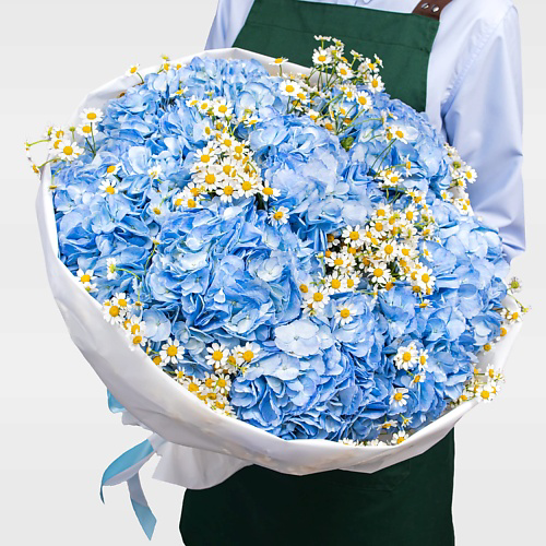STUDIO FLORISTIC Букет из Гортензий и Ромашек «Небо в ромашках» #1
