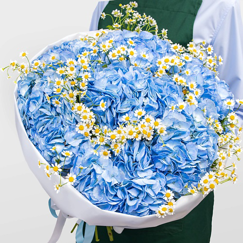 STUDIO FLORISTIC Букет из Гортензий и Ромашек «Улыбка лета» #1