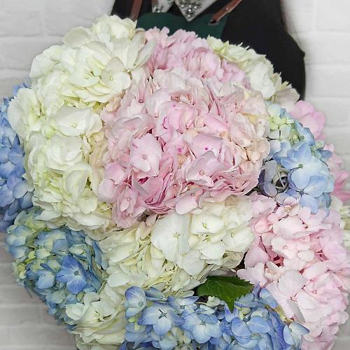 STUDIO FLORISTIC Букет из Гортензий «Ничего лишнего» #1