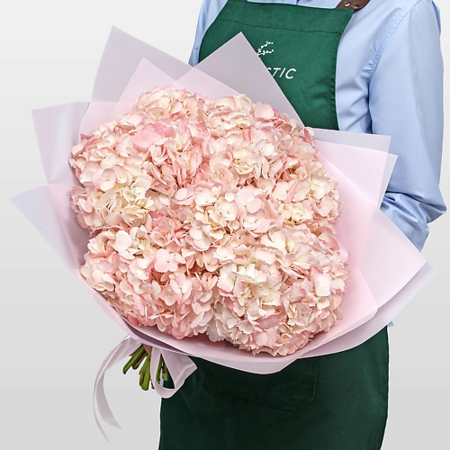 STUDIO FLORISTIC Букет из нежно-розовой Гортензии «Мечты Анны» #1