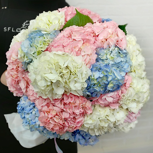 STUDIO FLORISTIC Букет из разноцветных Гортензий «Воздушный шар» #1