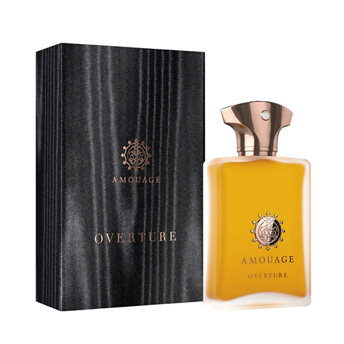 AMOUAGE Парфюмерная вода Overture Man 100 #1