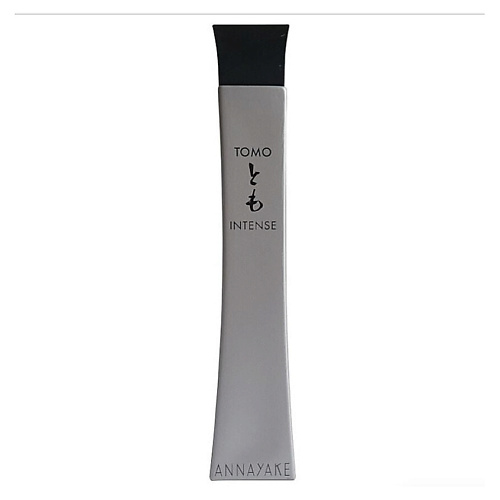 ANNAYAKE Туалетная вода Tomo Pour Homme Intense 100 #1