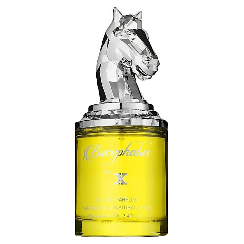 ARMAF PERFUMES Парфюмерная вода Niche Bucephalus No. X 100 #1