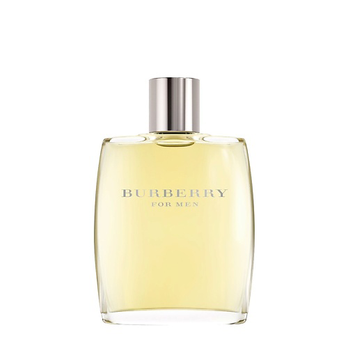 BURBERRY Classic for Men 100 #1