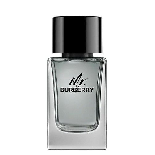 BURBERRY Mr. Burberry 100 #1