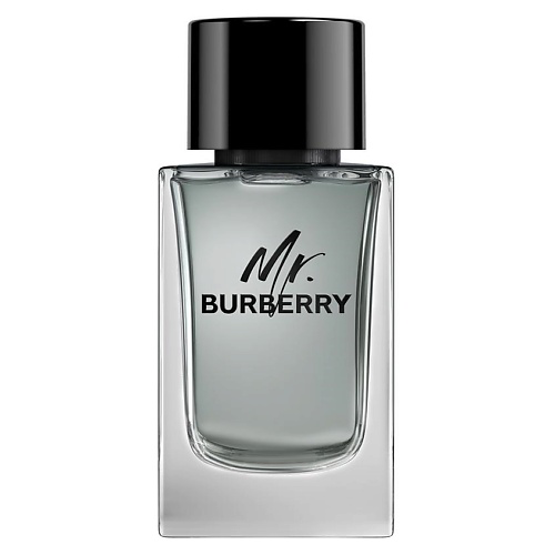 BURBERRY Mr. Burberry 150 #1