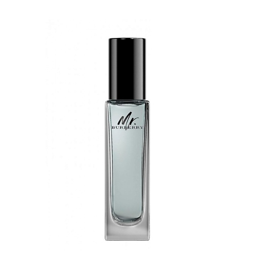 BURBERRY Mr. Burberry 30 #1