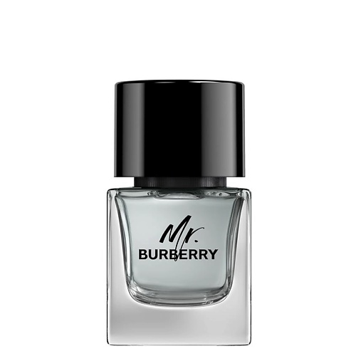 BURBERRY Mr. Burberry 50 #1