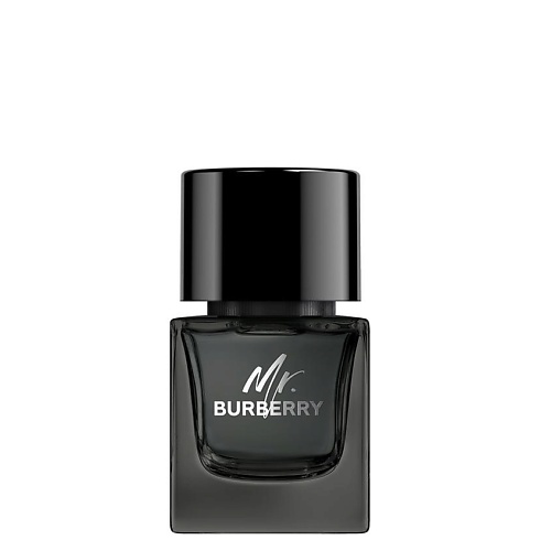 BURBERRY Mr. Burberry Eau de Parfum 50 #1