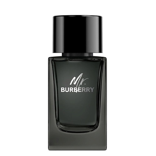 BURBERRY Mr. Burberry Eau de Parfum 100 #1