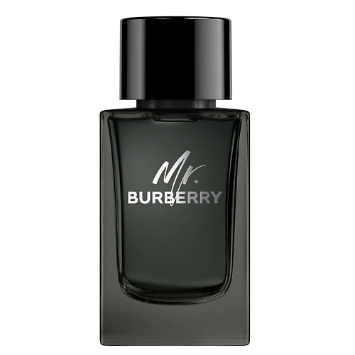 BURBERRY Mr. Burberry Eau de Parfum 150 #1