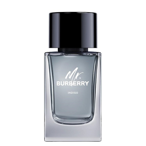 BURBERRY Mr. Burberry Indigo 100 #1
