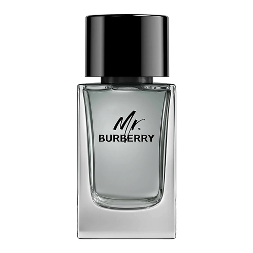 BURBERRY Туалетная вода Mr. Burberry 30 #1