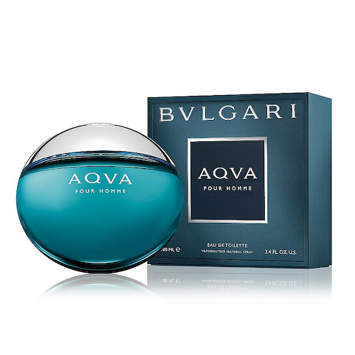 BVLGARI Aqva pour Homme 100 #1