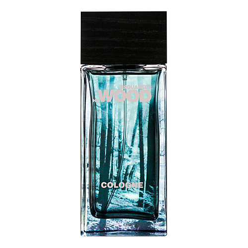 DSQUARED2 He Wood Cologne 150 #1