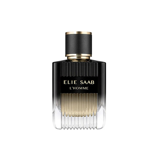 ELIE SAAB Парфюмерная вода L'Homme 100 #1
