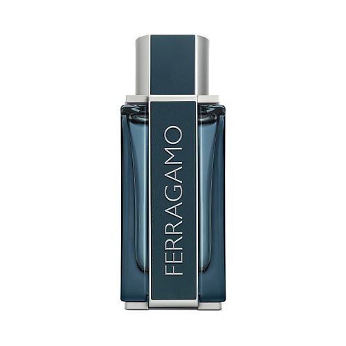 FERRAGAMO Intense Leather 100 #1