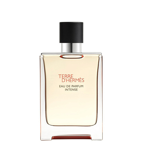 HERMÈS HERMES Парфюмерная вода Terre d’Hermès Intense 100 #1