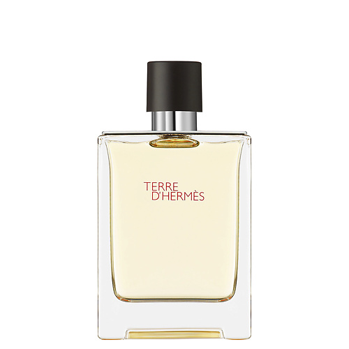 HERMÈS Terre d'Hermès 100 #1