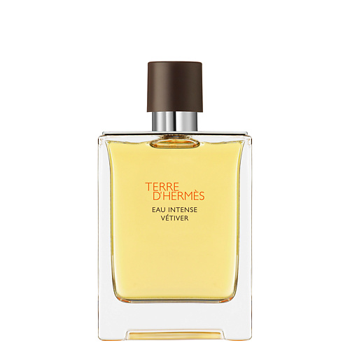 HERMÈS Terre d'Hermès Eau Intense Vétiver 100 #1