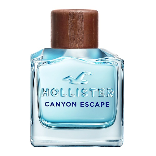 HOLLISTER Canyon Escape for Him 100 #1