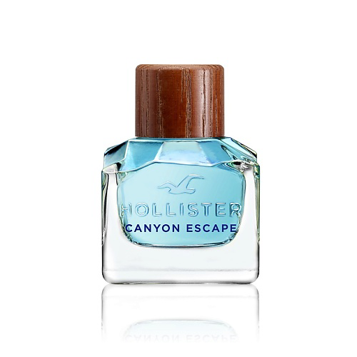 HOLLISTER Canyon Escape for Him 30 #1