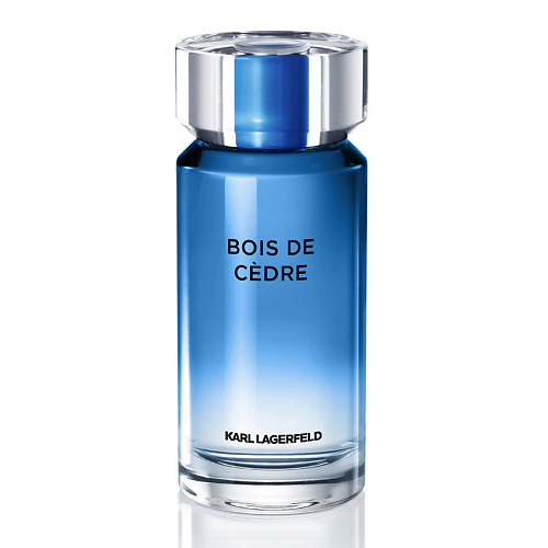 KARL LAGERFELD Bois De Cedre 100 #1