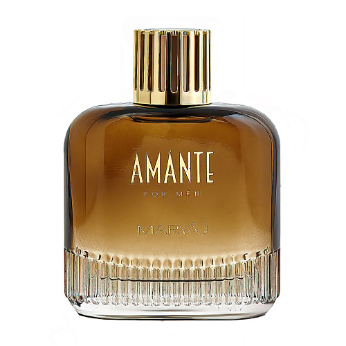MARYAJ Парфюмерная вода AMANTE FOR MEN 100 #1