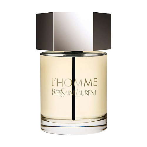 YVES SAINT LAURENT YSL L'Homme 100 #1
