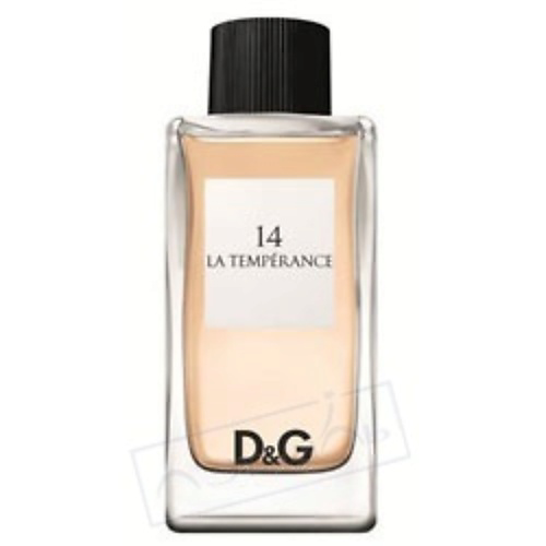 DOLCE&GABBANA D&G № 14 La Temperance #1