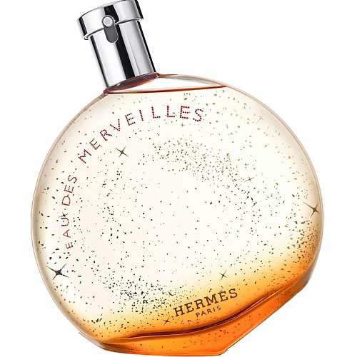 HERMÈS HERMES Туалетная вода Eau Des Merveilles 100 #1