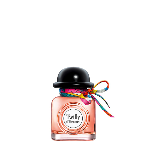 HERMÈS Twilly d'Hermès 30 #1