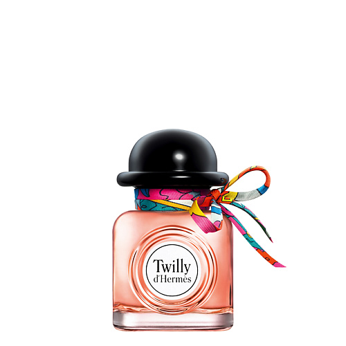 HERMÈS Twilly d'Hermès 50 #1