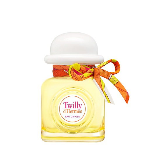 HERMÈS Twilly Eau Ginger 50 #1