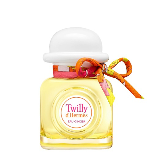 HERMÈS Twilly Eau Ginger 85 #1