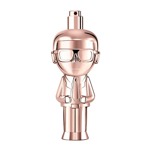 KARL LAGERFELD Ikonik Pour Femme 100 #1