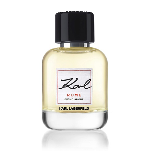 KARL LAGERFELD Rome 60 #1