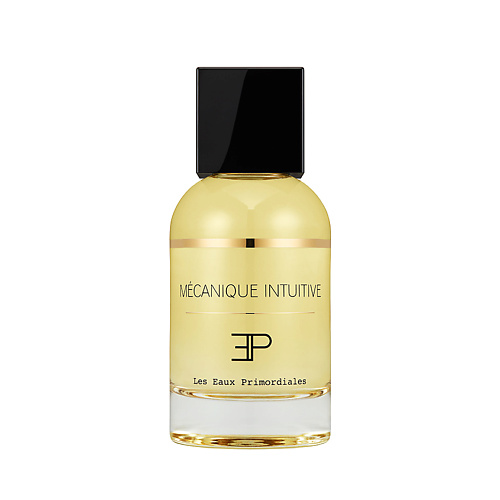 LES EAUX PRIMORDIALES Mecanique Intuitive 100 #1