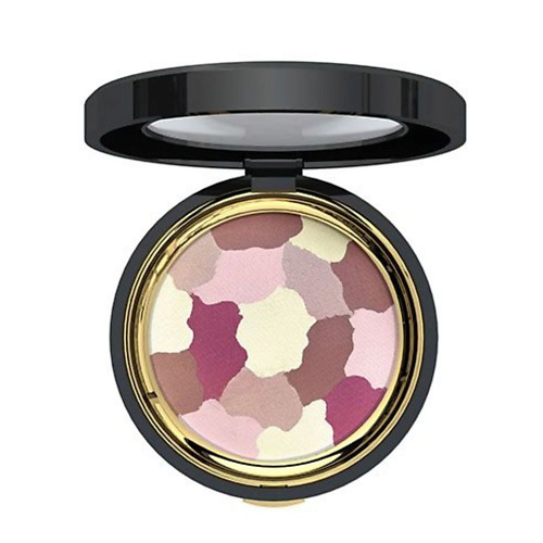 ETRE BELLE Пудра для лица Arabesque Multi Color Powder #1