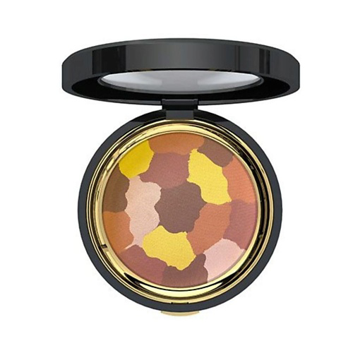ETRE BELLE Пудра для лица Arabesque Multi Color Powder #1