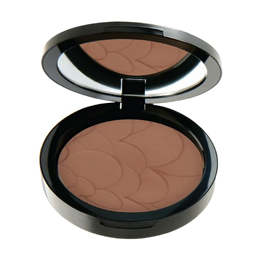 PASTEL Пудра для лица PROFASHION ADVANCED POWDER #1