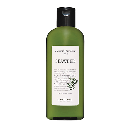 LEBEL Шампунь с морскими водорослями Natural Hair Soap Treatment Seaweed 240 #1
