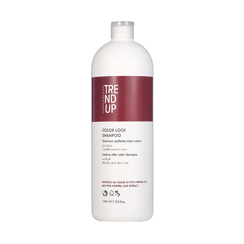 TREND UP Профессиональный шампунь после окрашивания  Color Lock Shampoo 1000 #1