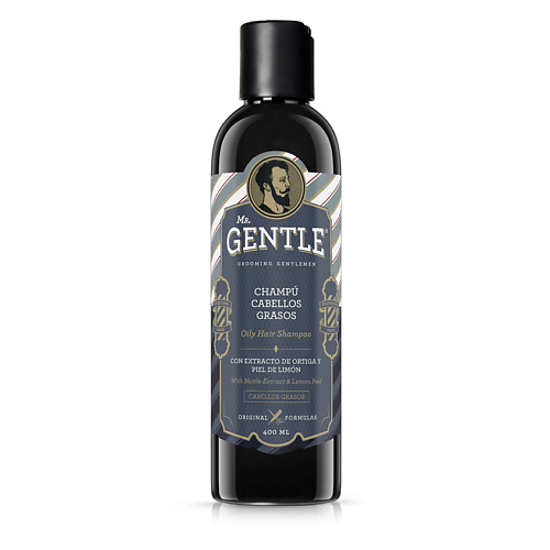 MR. GENTLE Шампунь для жирных волос 400 #1