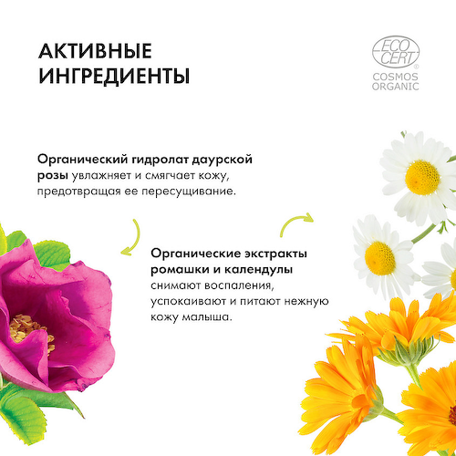 NATURA SIBERICA Крем детский для ежедневного ухода Little Siberica 75 #1
