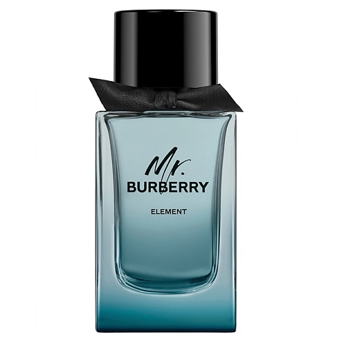 BURBERRY Mr. Burberry Element 150 #1